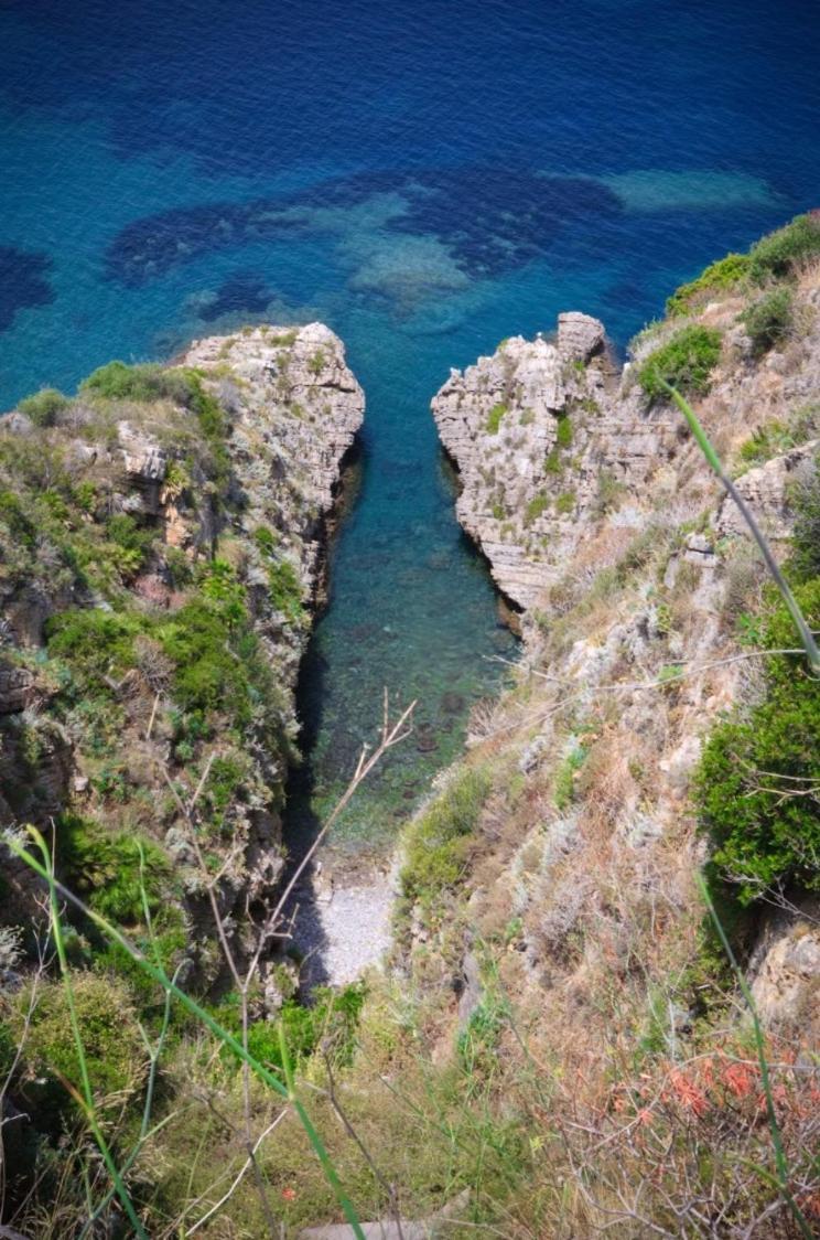 Villa San Lorenzo Sicily Altavilla Milicia Exteriör bild